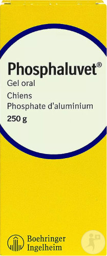 Phosphaluvet Gel Oral Pansement Gastrique Chiens 250g