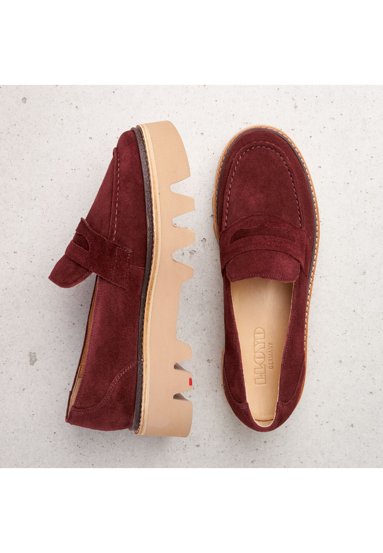 SLIPPER Rot