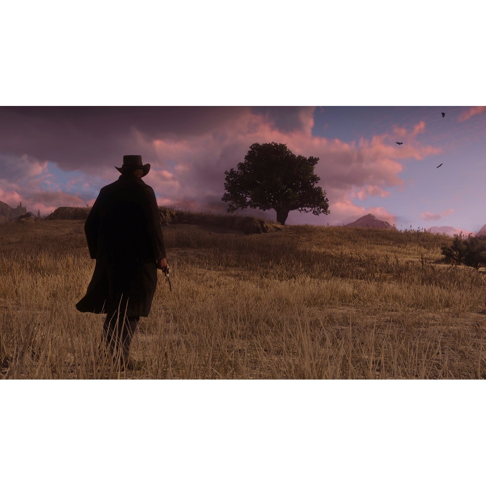 Red Dead Redemption 2 Xbox One
