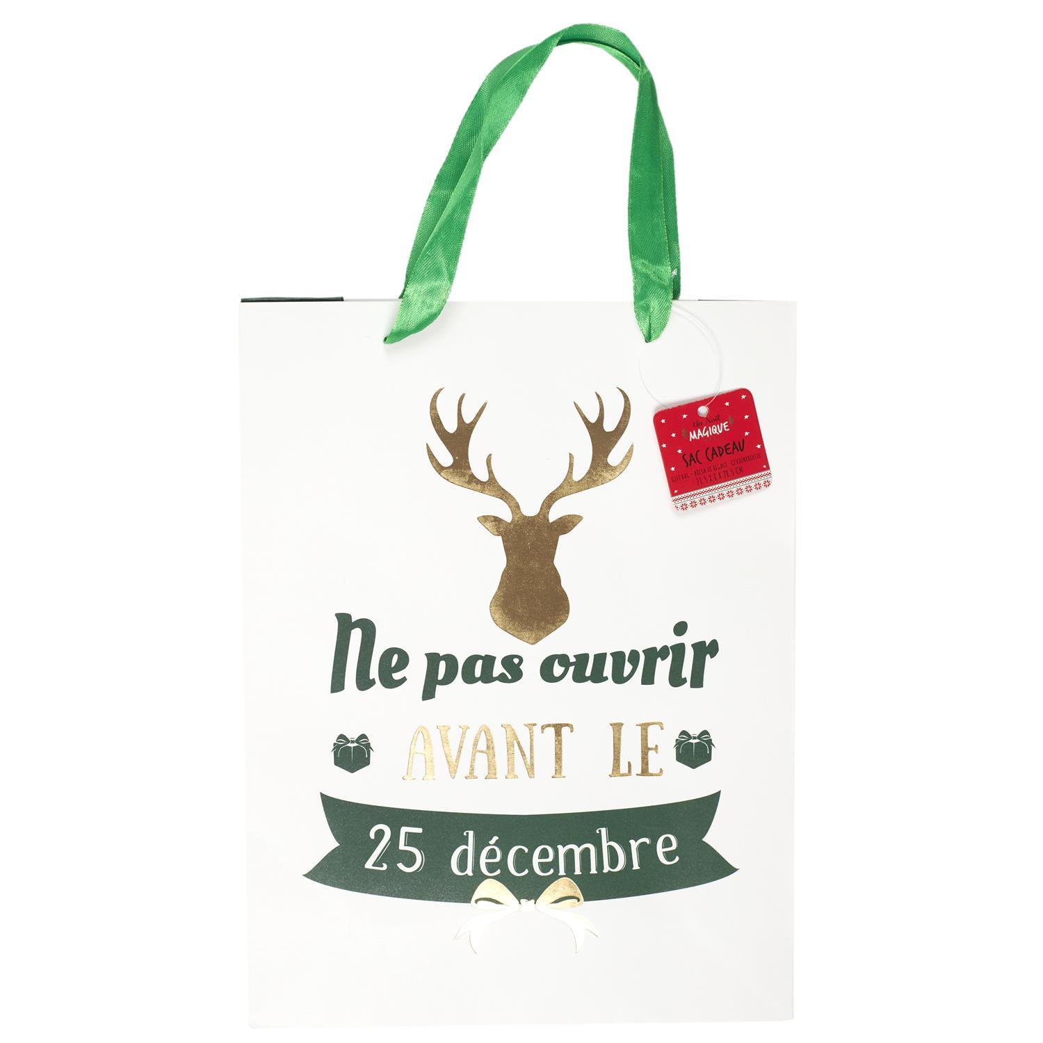 SAC CADEAU NOEL 21.5X8X28.5CM