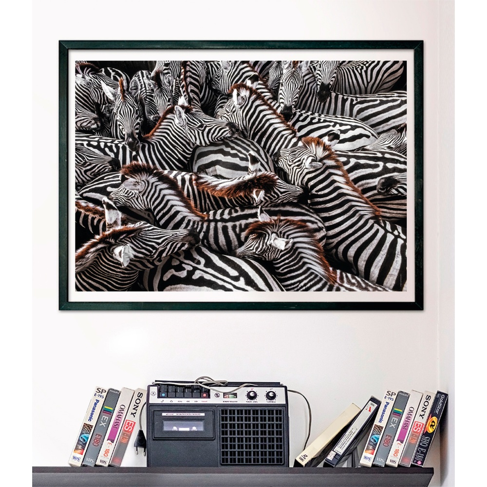 Clementoni National Geographic Zebras 1000-Teile-Puzzle