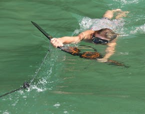 Subwing in Poikam – fliegen unter Wasser |mydays