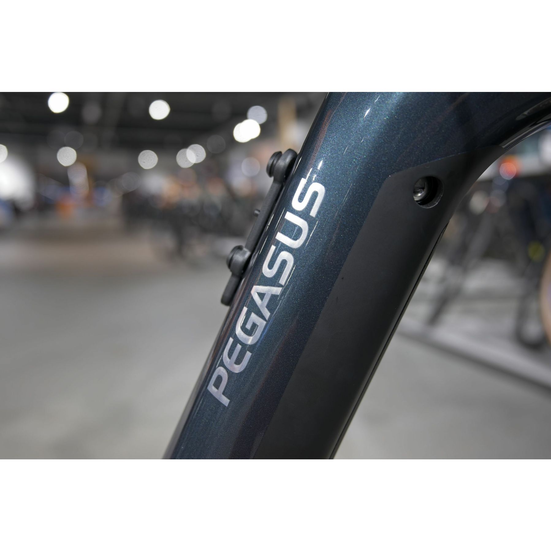 Pegasus Premio EVO 5F Lite Belt