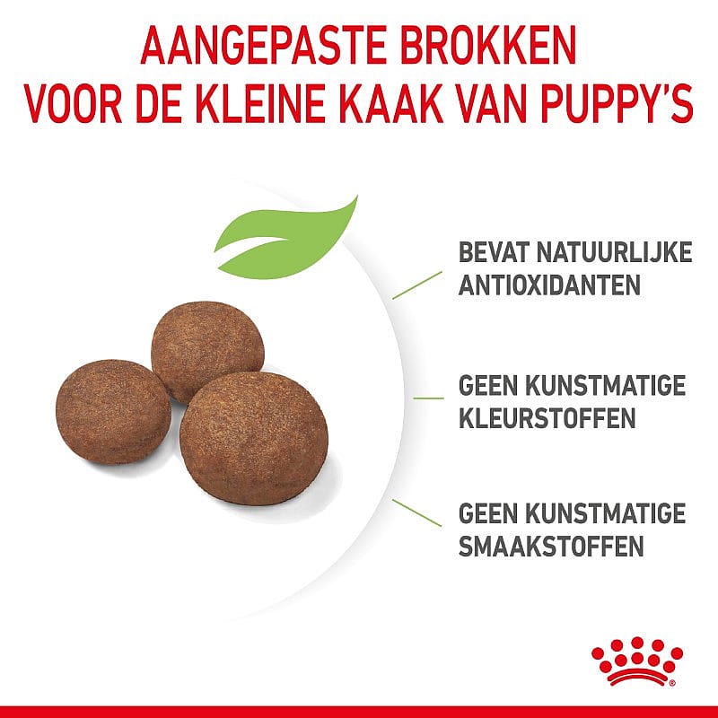 ROYAL CANIN® Medium Dog Junior 10-25 kg - Hondenvoer voor de weerstand en vacht van pups van middelgrote honden