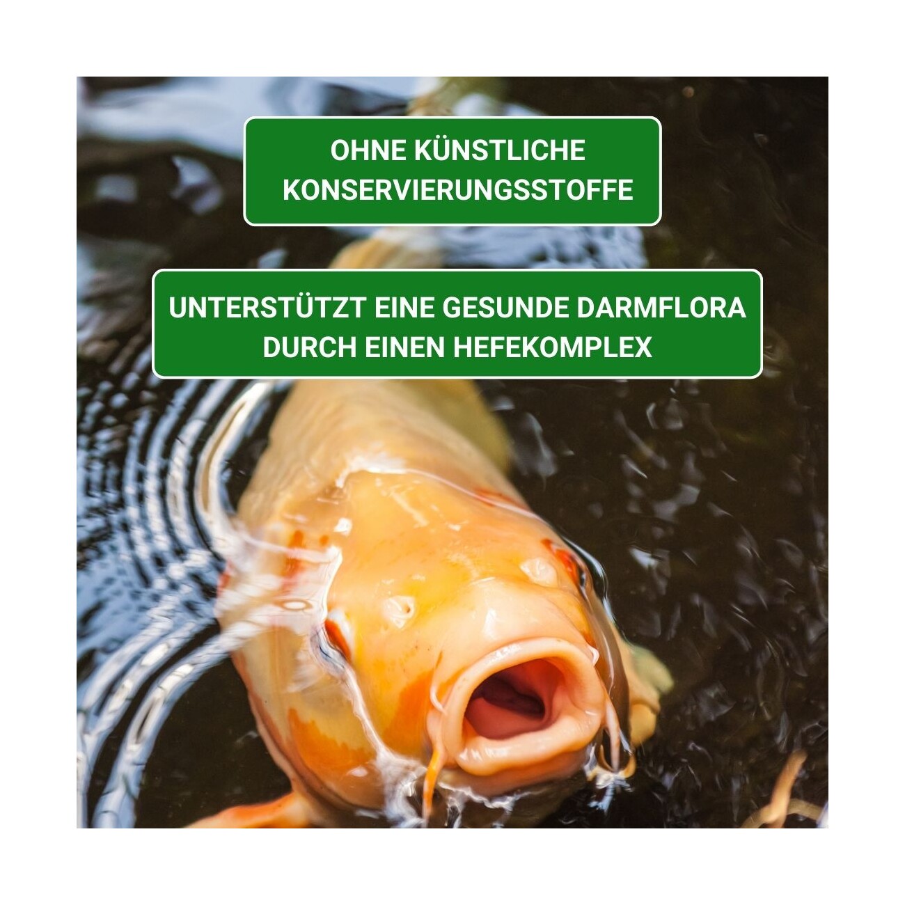 KENKOU NR.1 MIX 5mm 5 kg
