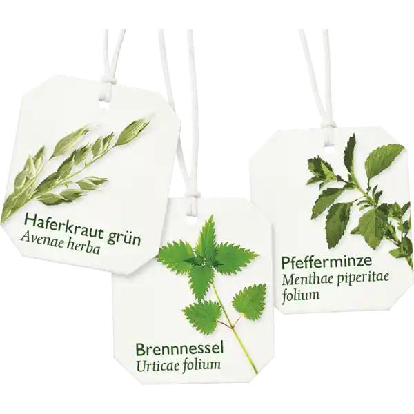Basischer Kräutertee, mit Zink* für den Säure-Basen Haushalt