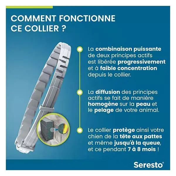 Seresto Petit Chien Collier Anti-Puces et Anti-Tiques -8kg 1 unité