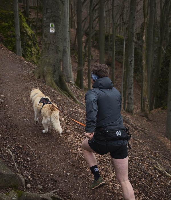 Non-stop dogwear Bauch-Laufgurt Trail light