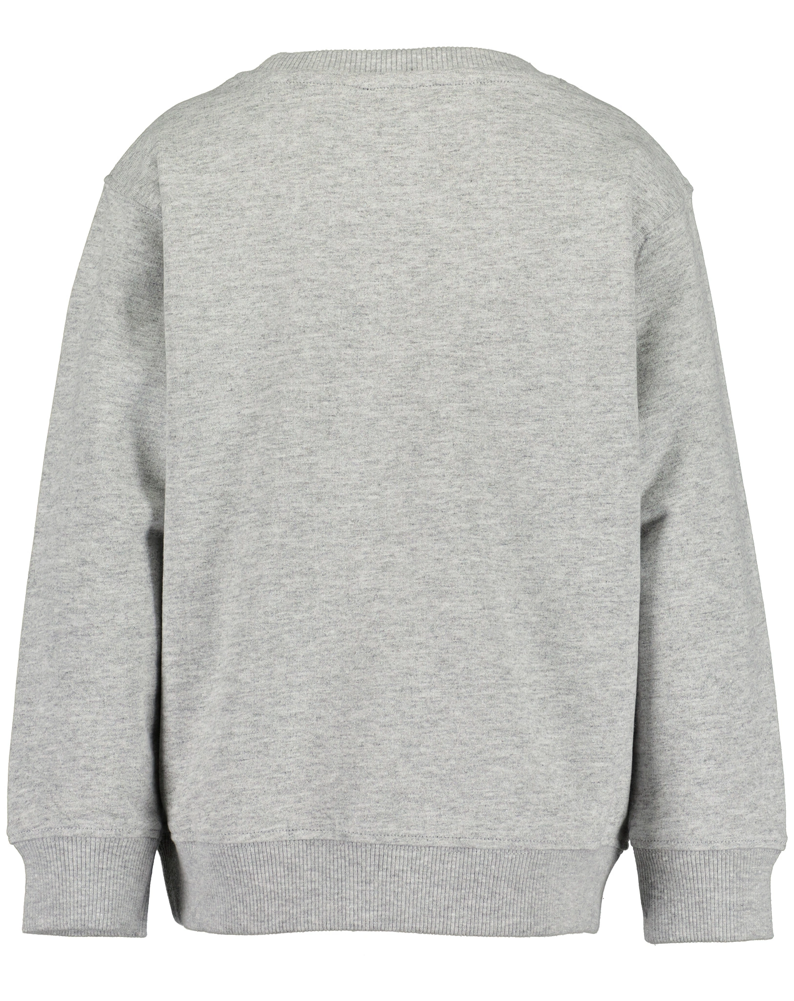 Sweatshirt ROARING DINO in nebel melange