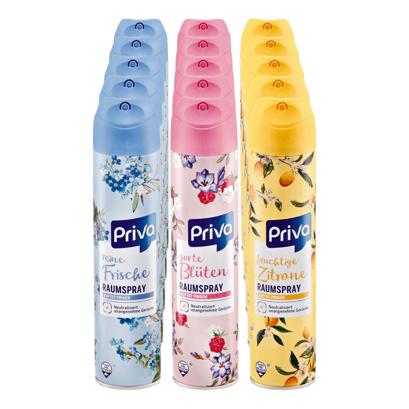 Priva Raumspray 300 ml, verschiedene Sorten, 15er Pack