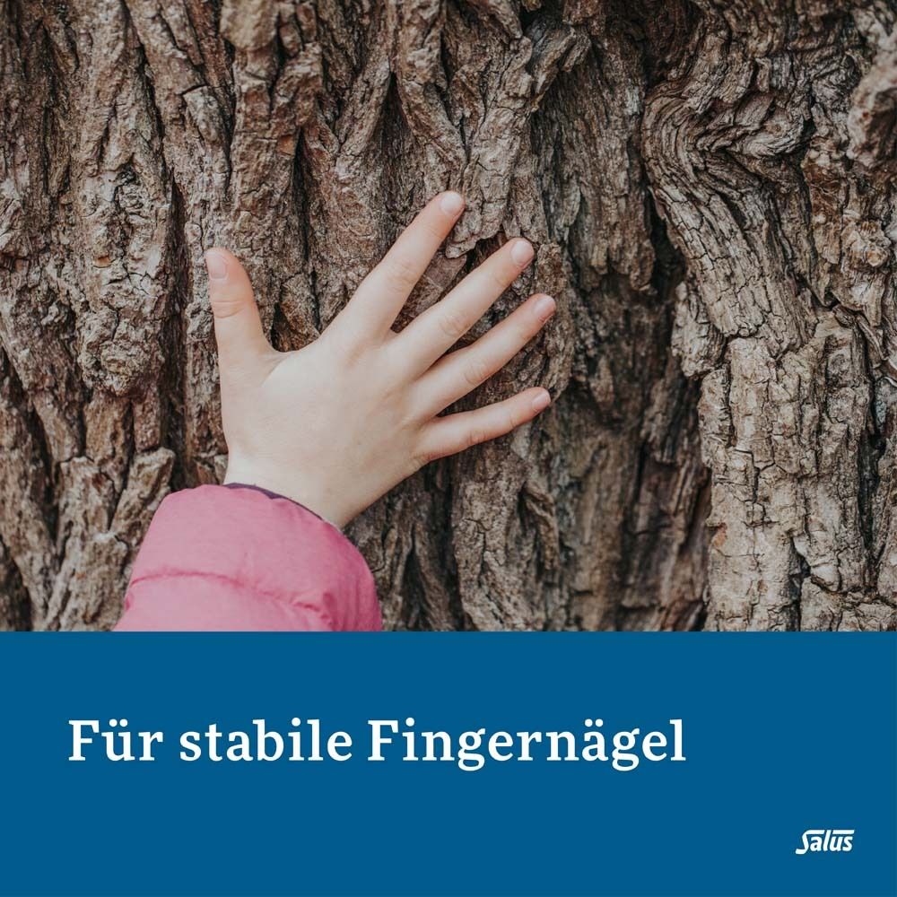 Salus Kieselerde klassik