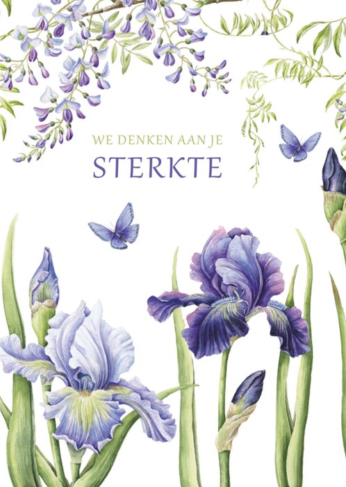 Janneke Brinkman | Denken aan kaart | Sterkte