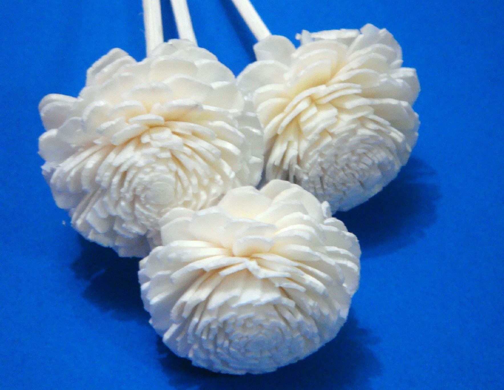 Kunstblume 'Weißer Jasmin', L 20 cm, Ø 3 cm von fischer's lagerhaus