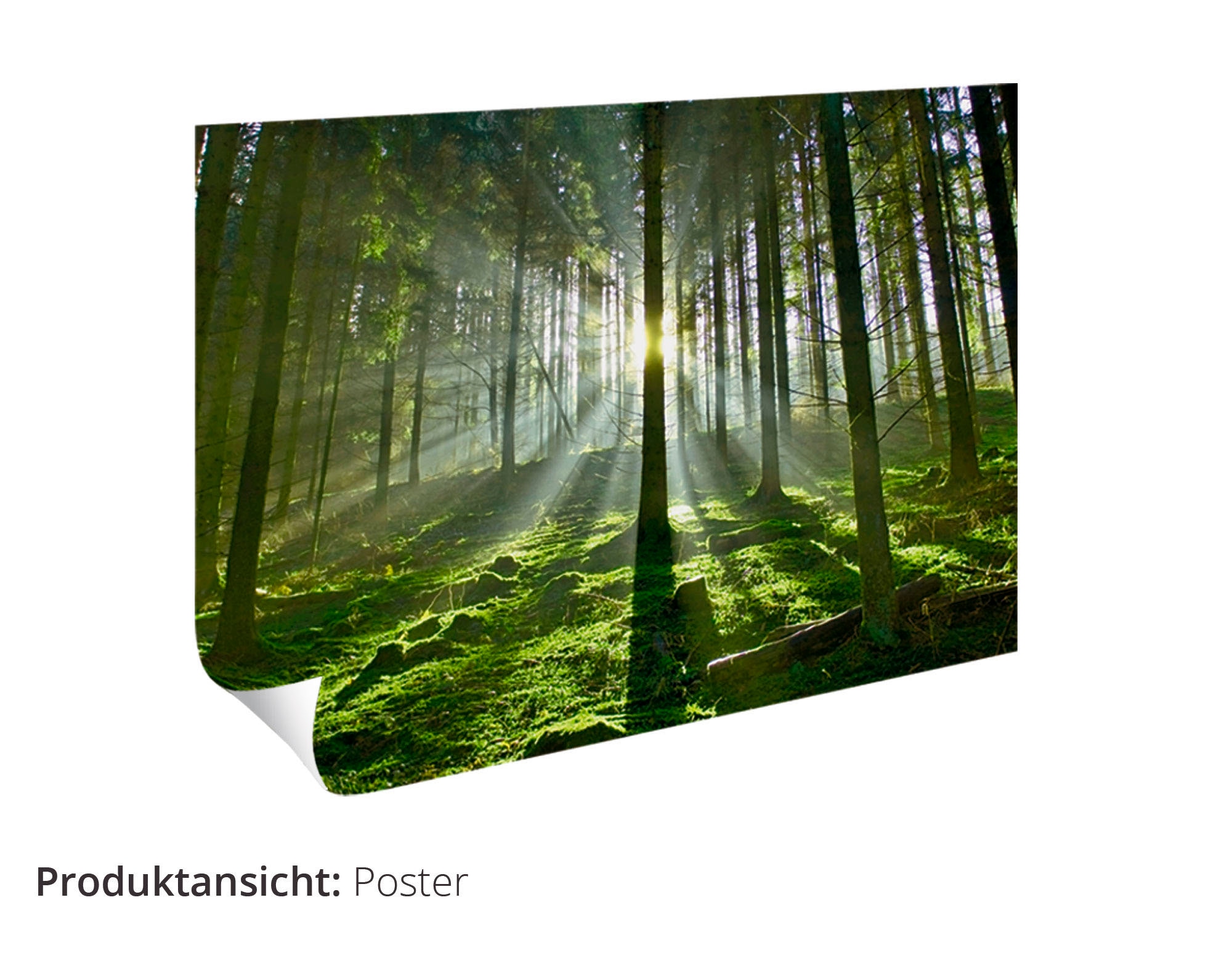 Artland Wandbild »Fensterblick Sonnenuntergang am Strand« Sonnenaufgang & -untergang 1 Stk. tlg. als Leinwandbild, Poster, Wandaufkleber in verschied. Grössen