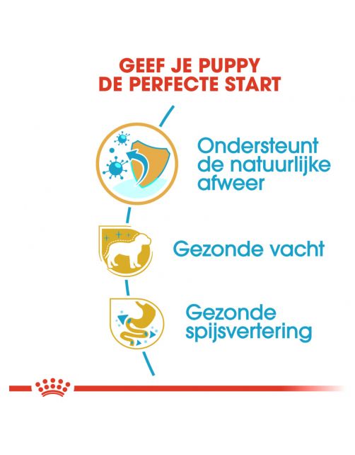 Royal Canin Poodle - Puppy-Hondenvoer - 3 kg