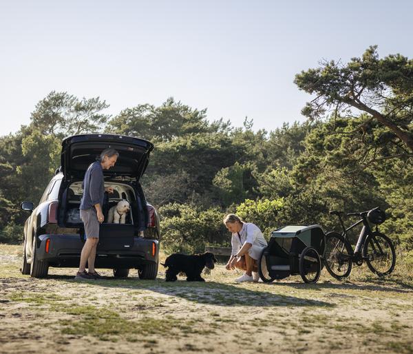 THULE® Bexey Hunde-Fahrradanhänger, Hazy