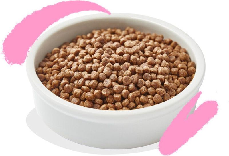4x Edgard & Cooper Kattenvoer Kitten Eend - Kip 2 kg