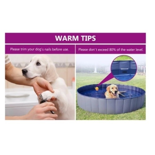 Piscina azul para cães