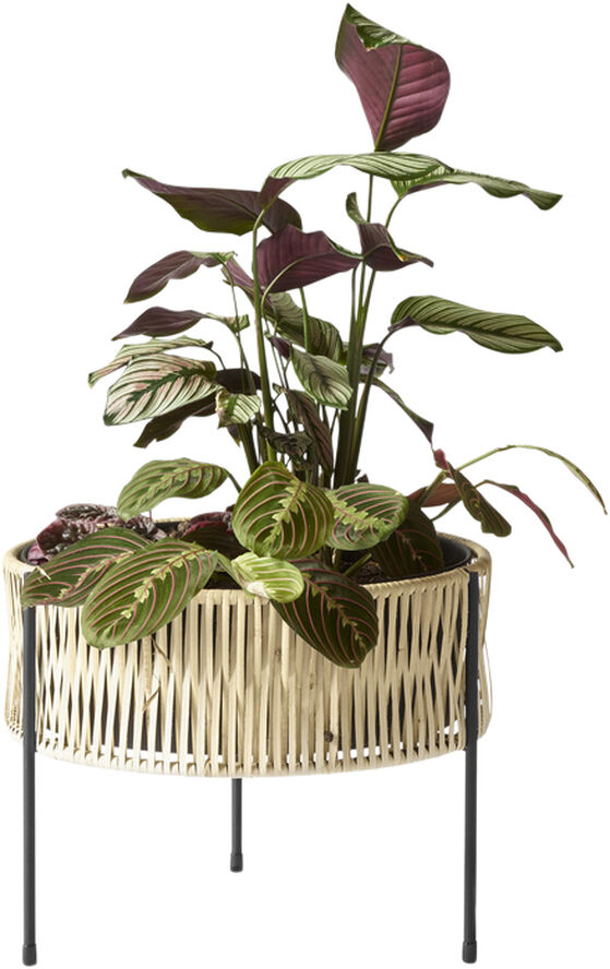 Audo Copenhagen Umanoff, Planter, H 32,5 Brun & sort