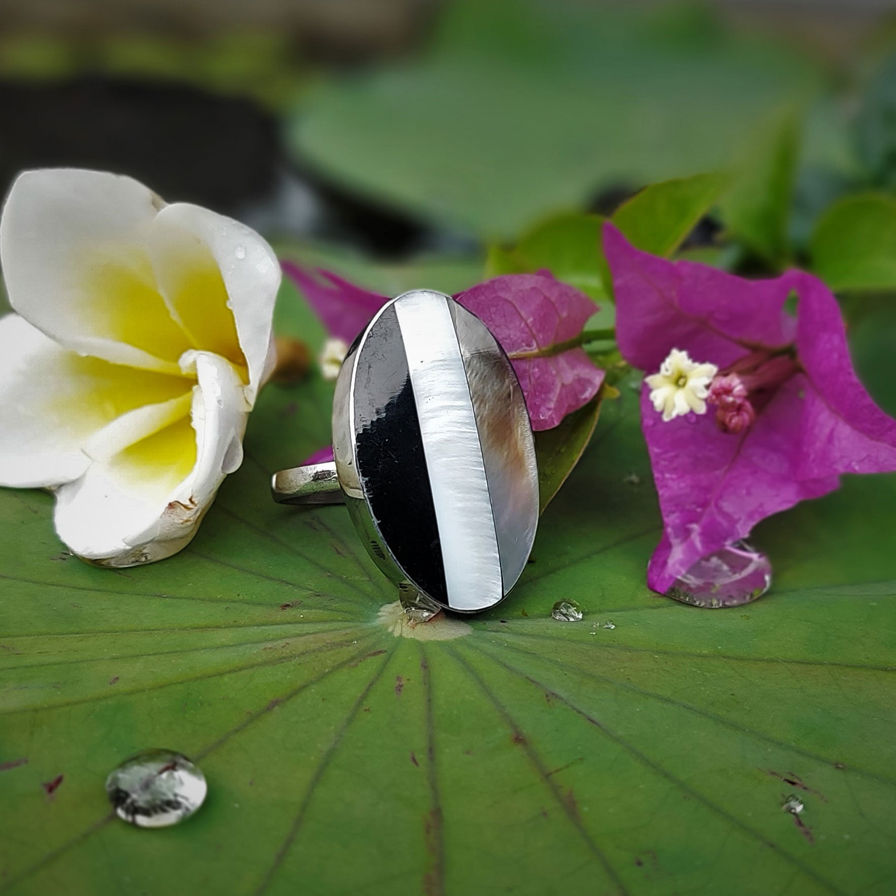 Muschel-Ring 'Tricolore', H 3 cm, B 2 cm günstig bestellen