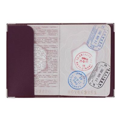 Color Pop - Etui passeport blindé silver