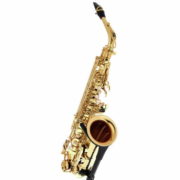 Selmer Alt-Saxophon Super Action SA80 II