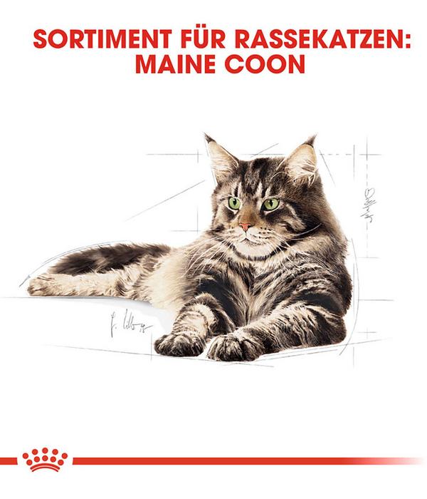 ROYAL CANIN® Nassfutter für Katzen Maine