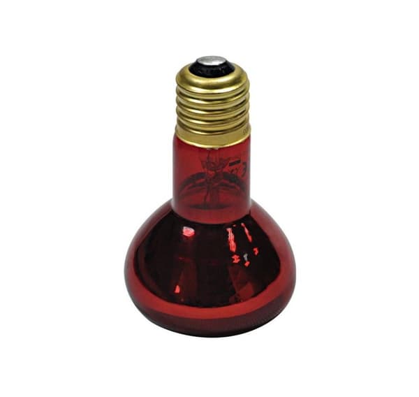 Terrariumlampe Natt Infrarød RPL03 50W rød