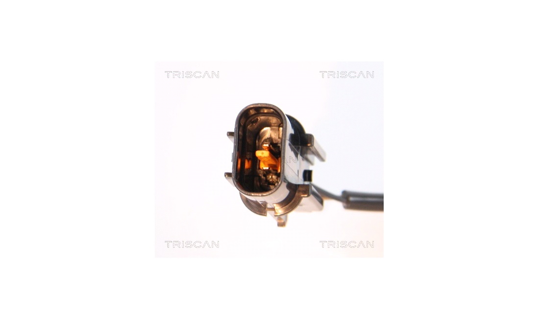ABS sensor
