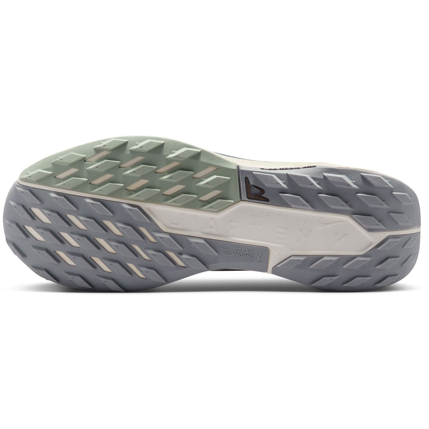Nike Pegasus Trail 5 GTX Heren