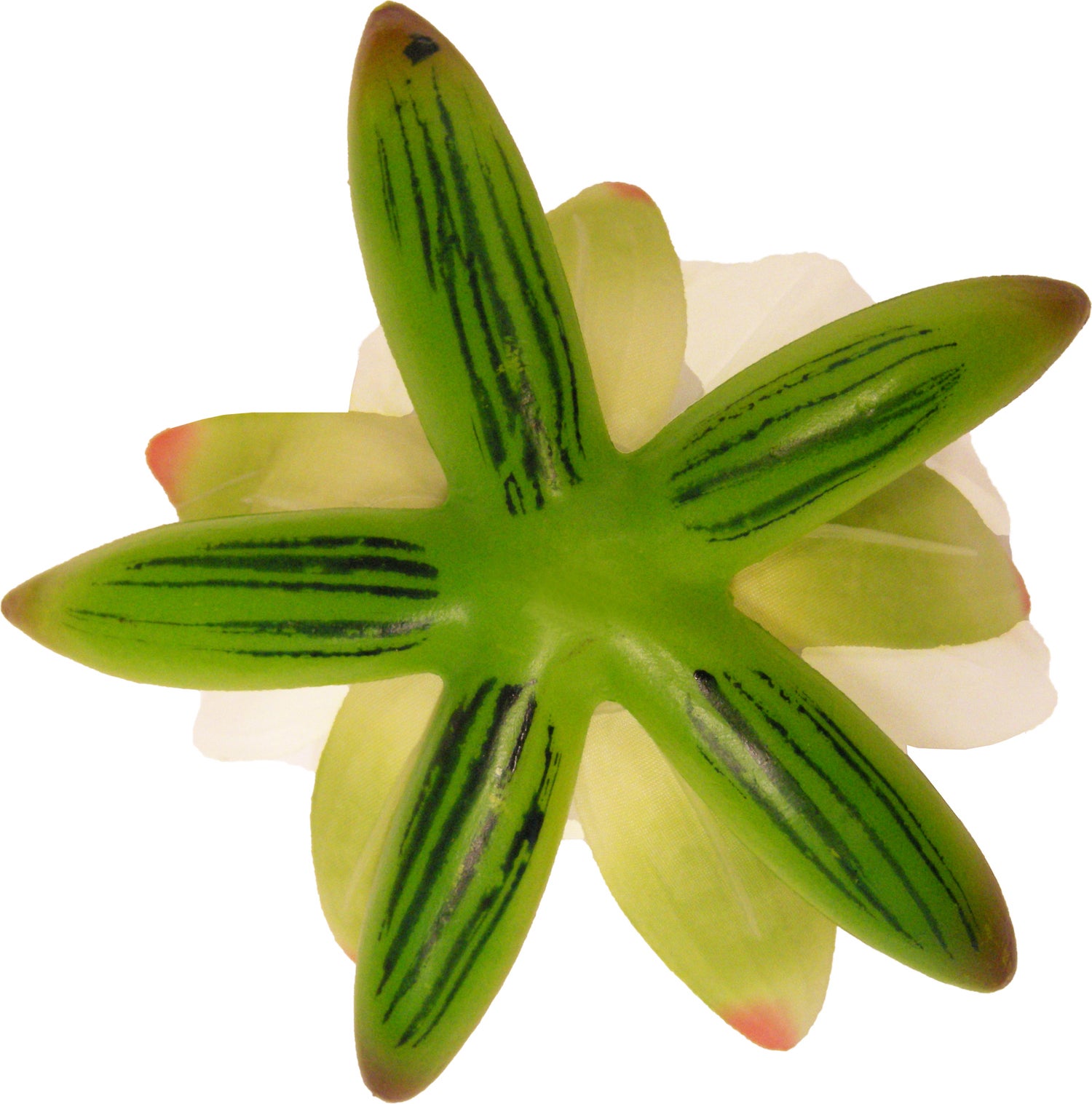 Ubbink drijfbloem waterlelie crème D 16 H 7,5 cm
