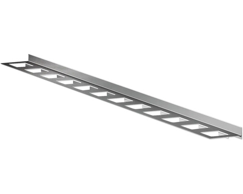 RVS randprofiel 20x1200 mm