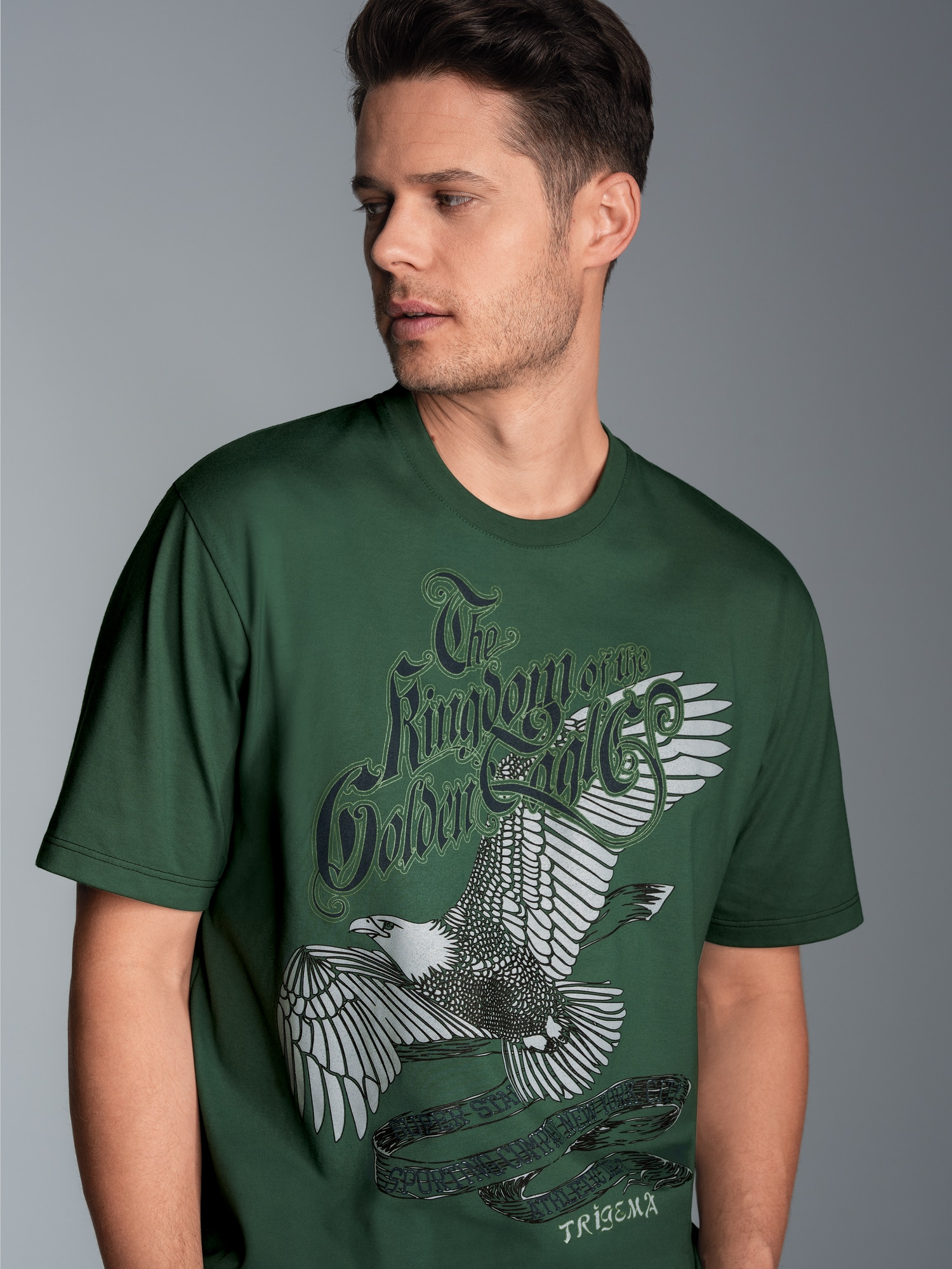 T-Shirt mit großem Adler-Printmotiv Efeu
