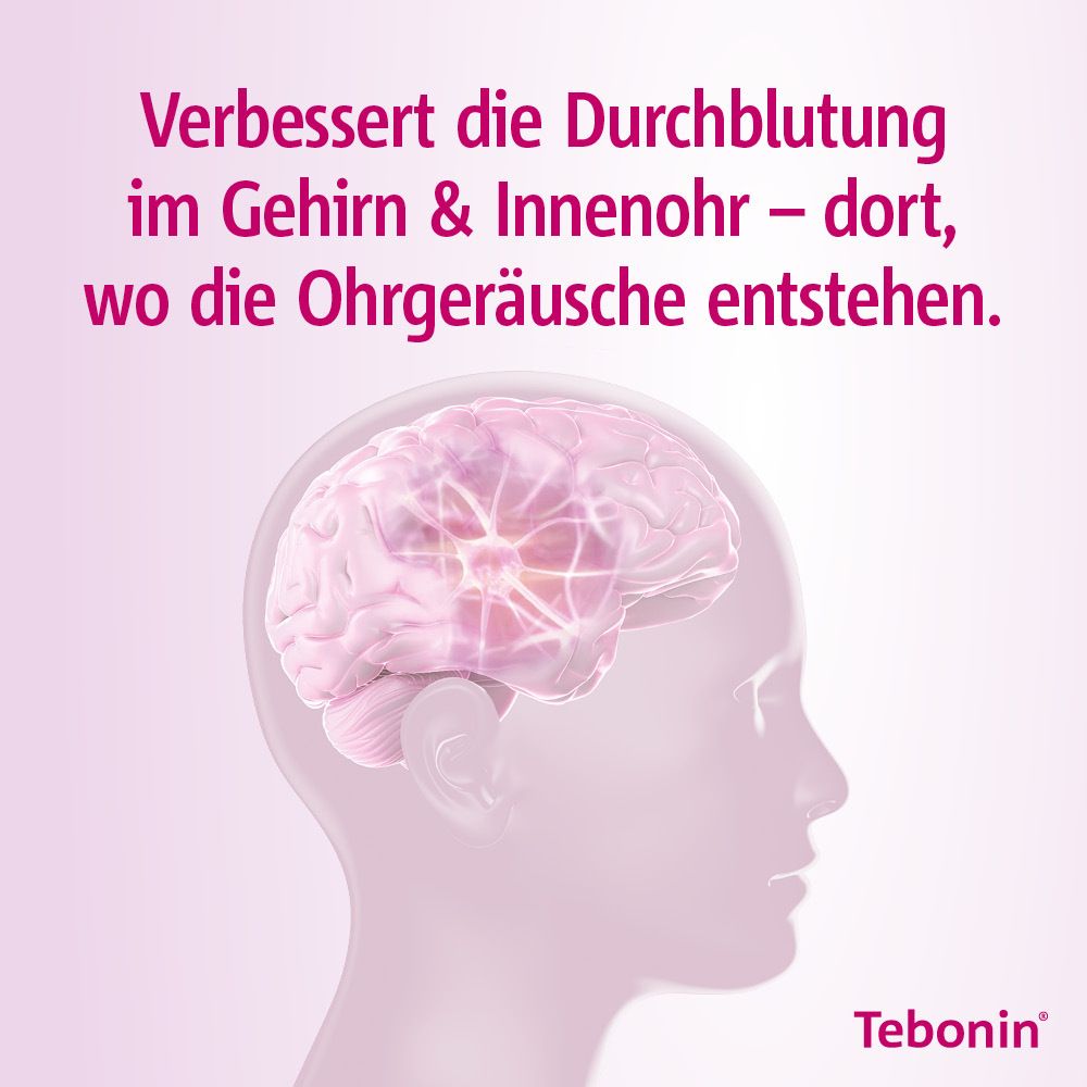Tebonin® intens 120 mg