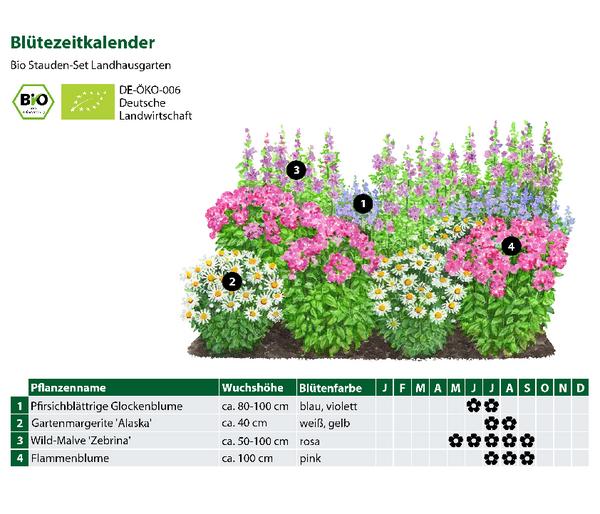 Bio Stauden-Set Landhausgarten, 12-teilig