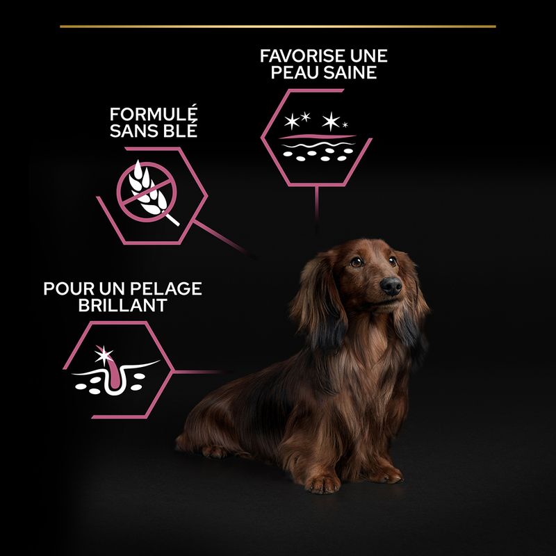 PURINA PRO PLAN Small & Mini Adult Sensitive Skin