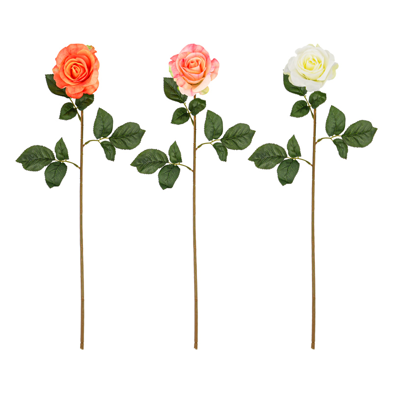 Tige de rose