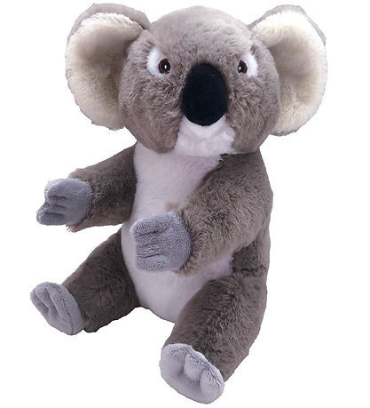 Wild Republic Kuscheltier - Ecokins - 16x26 - Koala