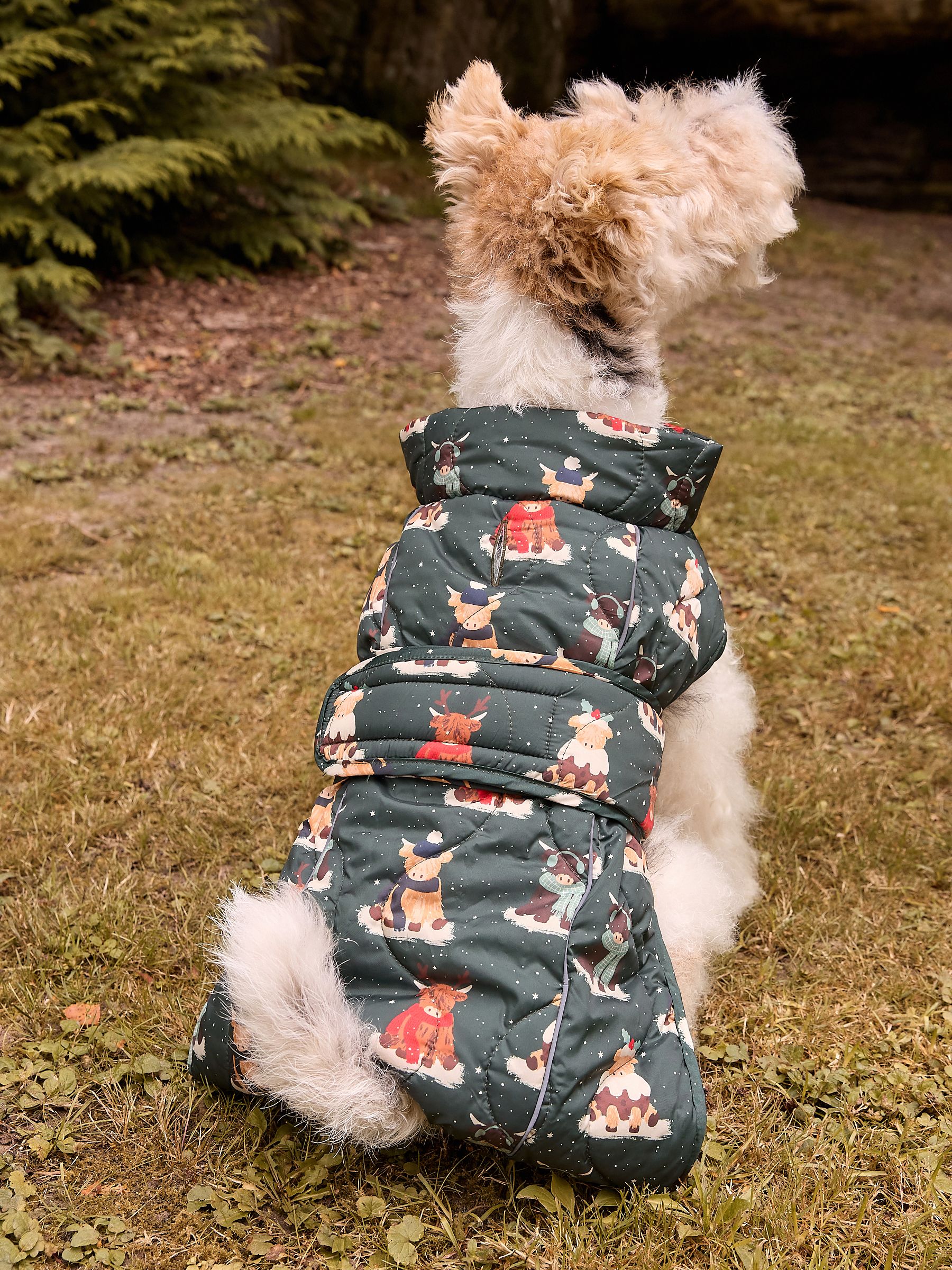 Hamish Print. - Kerstmis Gewatteerde Hondenjas