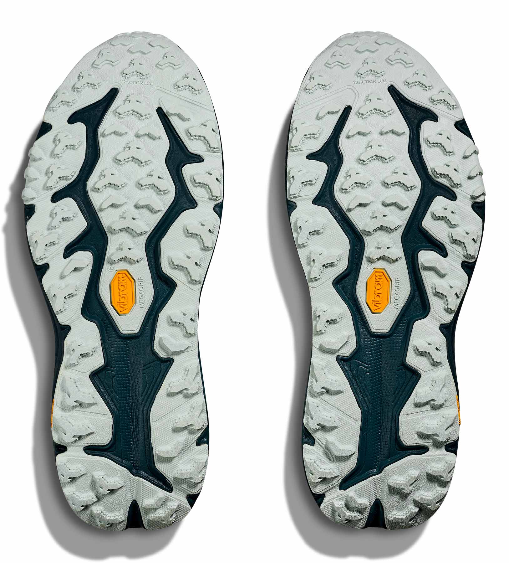 Speedgoat 6 GTX Herre BZY/Blue Twilight/Druzy