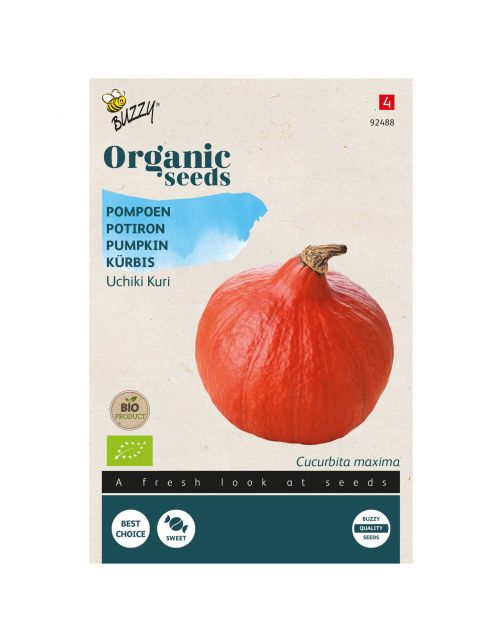 Buzzy Organic Pompoen Uchiki Kuri  - Bio - Groentezaden - 1.75 g