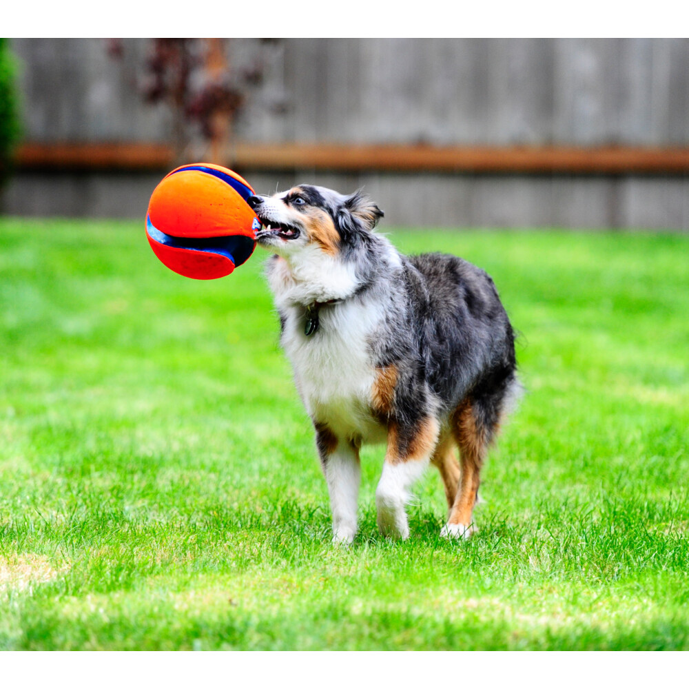 Chuckit Kick Fetch Small14 cm