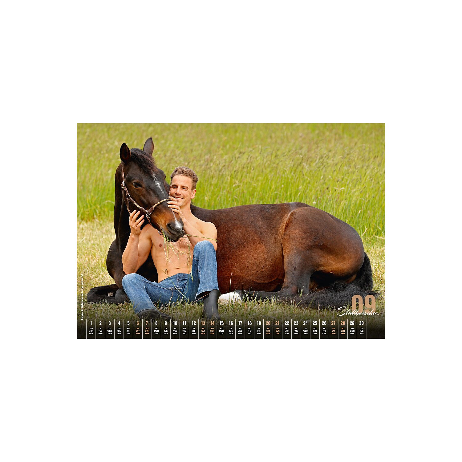 Stallburschen-Kalender  - 2025