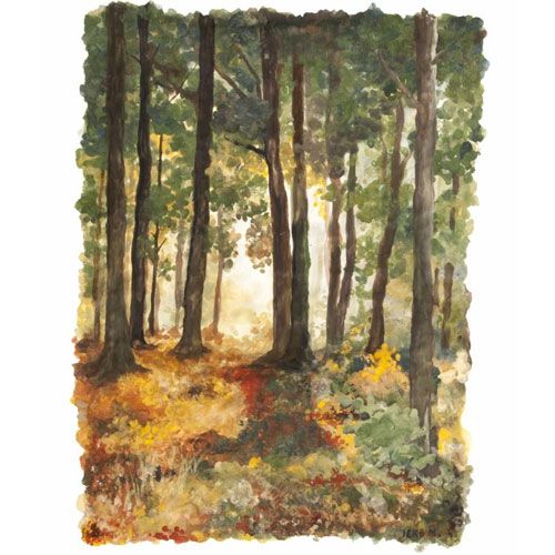 Natural earth paint - natuurlijke kinderverf - 2 liter