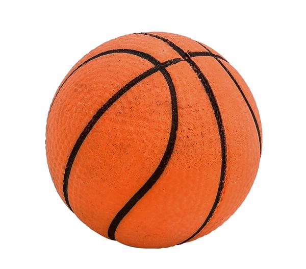 Dehner Lieblinge Hundespielzeug Spielball