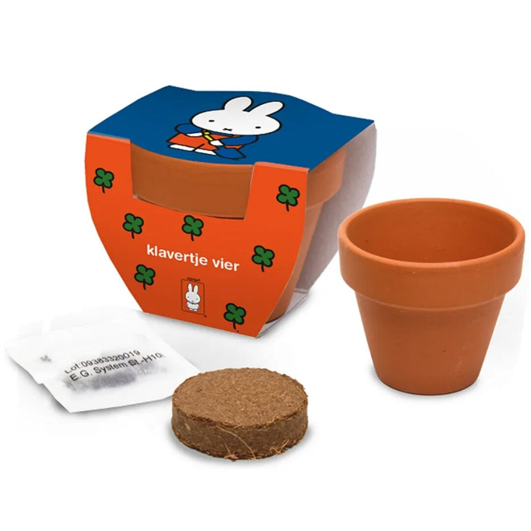 Nijntje mini bloempotje - klavertje vier