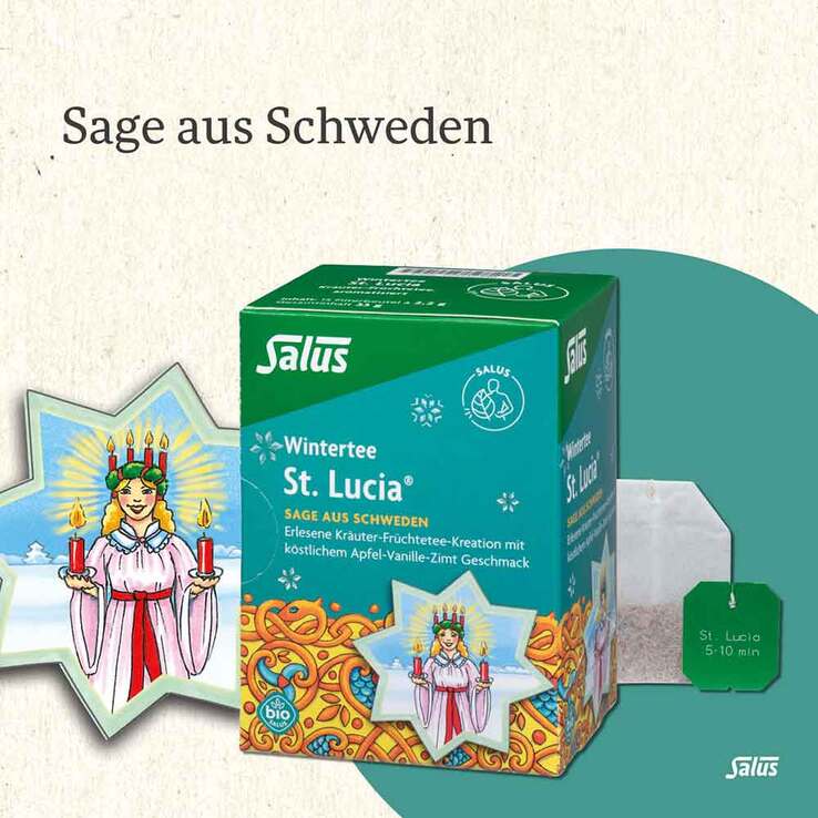 ST.LUCIA Bio Salus Wintertee Filterbeutel, 15 St