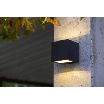 Lutec buitenlamp Gemini zwart