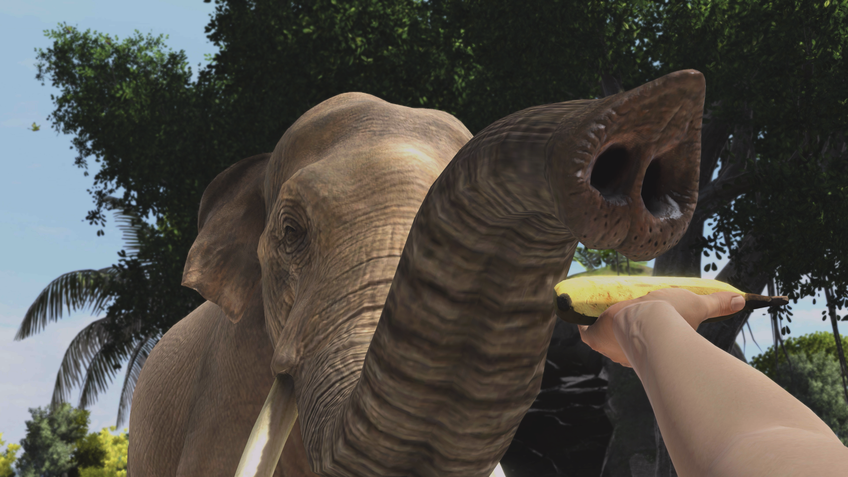 Zoo Tycoon: Ultimate Animal Collection- PC