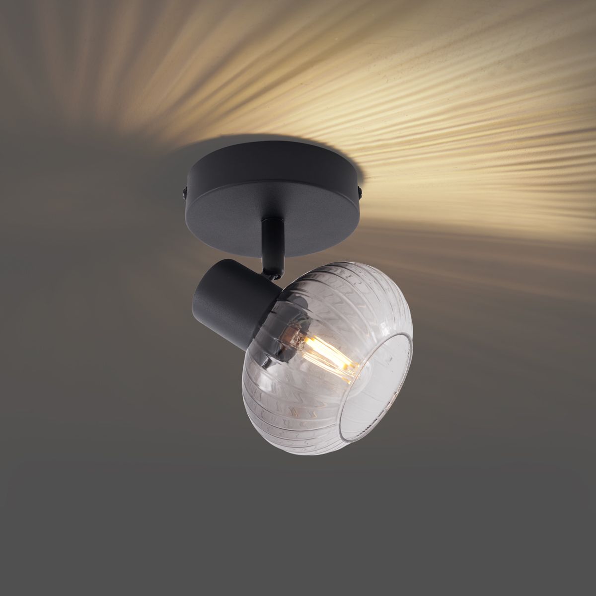Moderne plafondspot zwart met smoke glas rond - Teddy